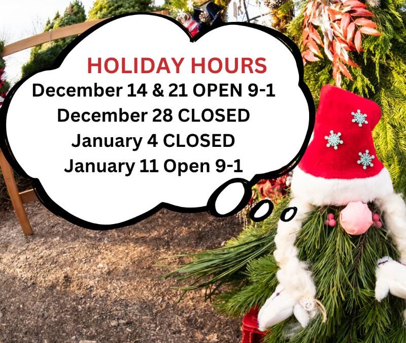 Holiday Hours